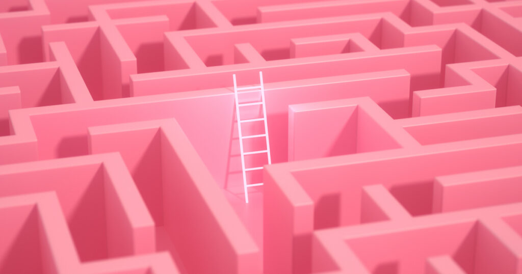 Pink maze with ladder leading out