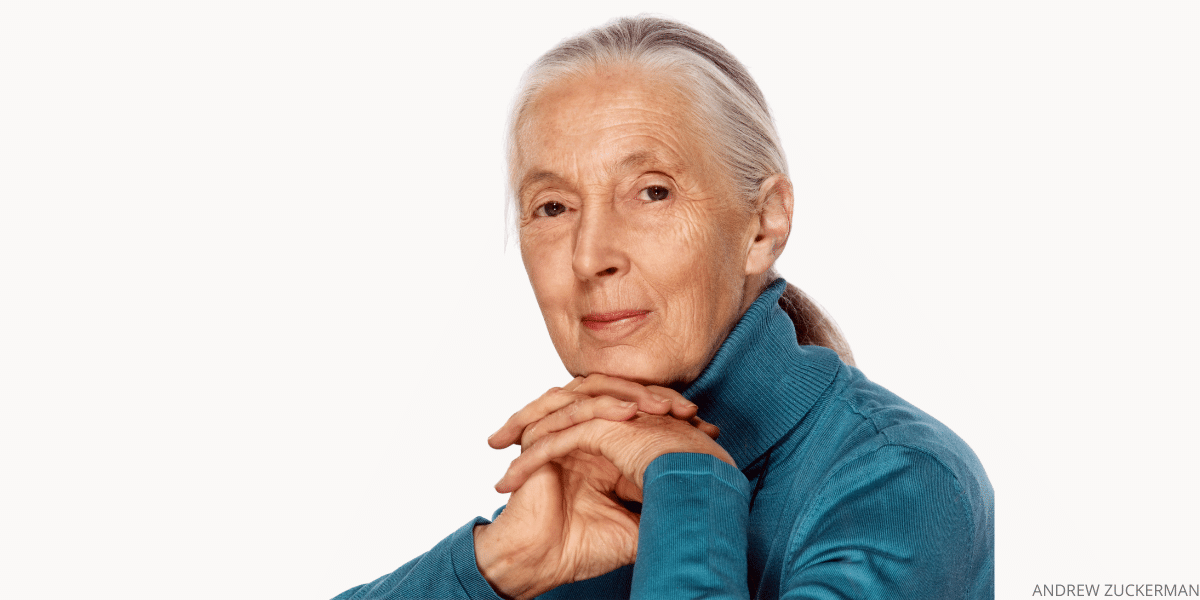 Dr. Jane Goodall