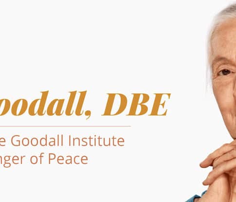 Dr. Jane Goodall, founder of the Jane Goodall Institute and UN Messenger of Peace