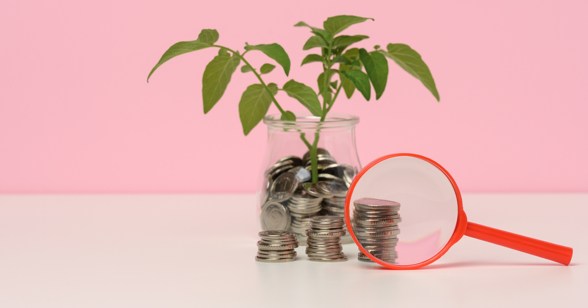 Coins, plant, magnifying glass on pink background.