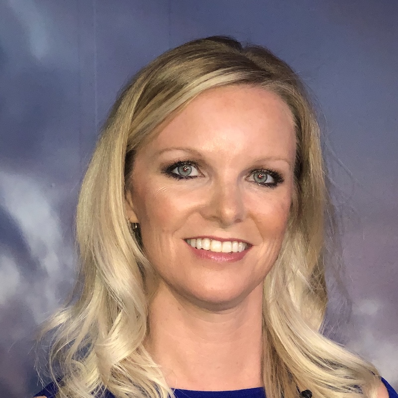 Portrait of Alison T. Young