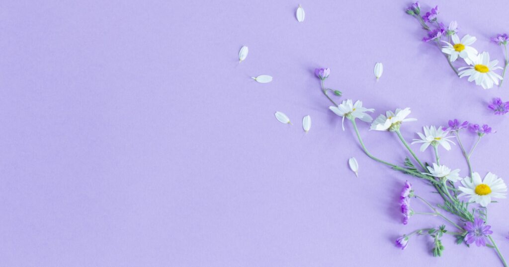 wild flowers on purple paper background